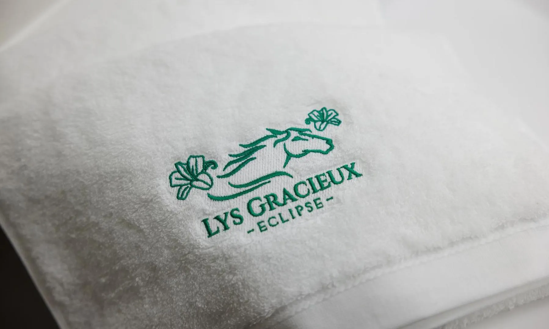 真狩村 Lys Gracieuxヴィラ