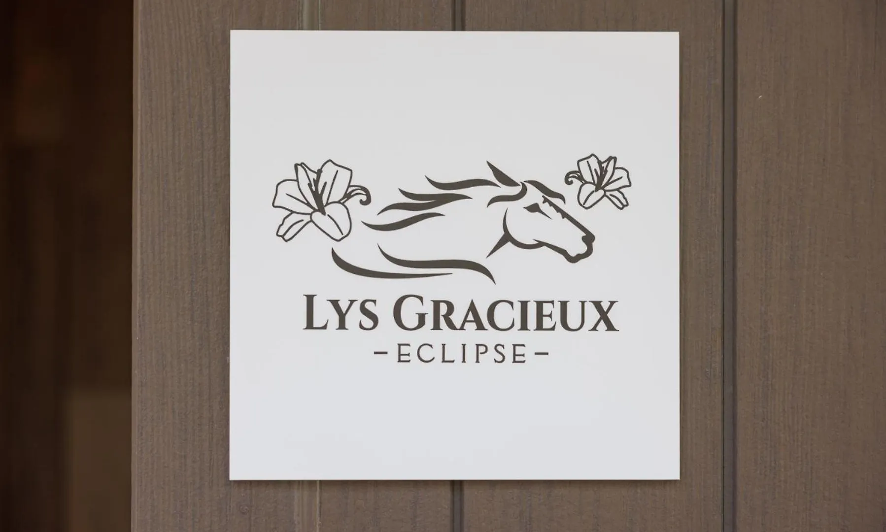 ヴィラ 真狩村 Lys Gracieuxヴィラ 日本